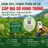 Giảm 50% thành phần hồ sơ cấp mã số vùng trồng, rút ngắn thời gian giải quyết