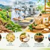 Một nguyên liệu, nhiều tầng giá trị: Vì sao chế biến đang mở ‘mỏ vàng’ cho nông thôn?