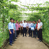 Ninh Bình: Từ liên kết chuỗi đến nâng tầm giá trị nông sản