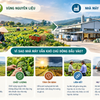 Có vùng nguyên liệu, vì sao nhà máy vẫn khó chủ động đầu vào?