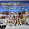 Hoa khô Mê Linh – hành trình lưu giữ vẻ đẹp của những mùa hoa