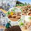 Nhà máy bỏ lại gì sau mỗi mùa sản xuất?