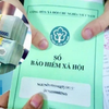 Gần 7.000 doanh nghiệp tại TP Hồ Chí Minh chậm đóng BHXH, hàng nghìn đơn vị không đến làm việc