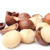 Xuất khẩu mắc ca chuyển hướng sang chế biến, bài toán lớn nằm ở vùng nguyên liệu