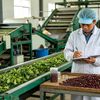 Khi nhà máy về gần vùng nguyên liệu, từng khâu đều được kiểm soát