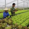 Hà Nội đẩy mạnh số hóa chuỗi sản xuất, kinh doanh nông sản, thực phẩm