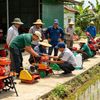 Ruộng nhỏ, máy cũng phải nhỏ: Cơ giới hóa vừa sức cho nông thôn