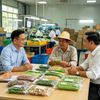 Từ năng lực sản xuất đến thị trường: Hai cách lớn lên của công nghiệp nông thôn