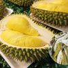 Giá sầu riêng hôm nay 23/9: Đắk Lắk, Gia Lai và Lâm Đồng đồng loạt điều chỉnh