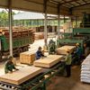 Từ gỗ rừng trồng đến viên nén: Mỗi phần nguyên liệu thêm một vòng giá trị