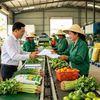Hợp đồng dài hạn: Đường ray giữ đầu ra cho doanh nghiệp công nghiệp nông thôn