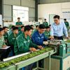 Đào tạo nghề nông thôn 2026–2030: Đưa kỹ năng từ lớp học vào nhà máy