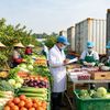 Nông sản Việt mở thêm cửa xuất khẩu, giảm lệ thuộc một thị trường