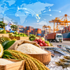 Khơi dòng xuất khẩu nông, lâm, thủy sản: Gỡ đúng điểm nghẽn, mở thêm dư địa