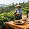 Doanh nghiệp nông thôn: Lớn bằng quy mô, mạnh bằng giá trị