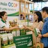 Một sản phẩm OCOP bán bao nhiêu lần mới gọi là thành công?