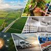 Vùng nguyên liệu lớn lên, ai sẽ hưởng lợi trước?
