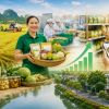 Làm ra nhiều sản phẩm, vì sao nhiều vùng quê vẫn chưa giàu?