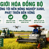 Cơ giới hóa đồng bộ hướng tới nền nông nghiệp xanh, phát triển bền vững