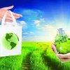 Bao bì mềm khó nhận diện: Thách thức mới đối với doanh nghiệp xuất khẩu