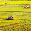 Cần Thơ đưa công nghệ vào chuỗi giá trị lúa gạo, thủy sản