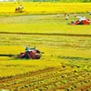Cần Thơ đưa công nghệ vào chuỗi giá trị lúa gạo, thủy sản