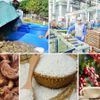 Xuất khẩu nông, lâm, thủy sản 9 tháng: Từ lợi thế sản lượng đến nâng cao giá trị