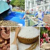 Xuất khẩu nông, lâm, thủy sản 9 tháng: Từ lợi thế sản lượng đến nâng cao giá trị
