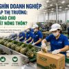 206 nghìn doanh nghiệp gia nhập thị trường: Cơ hội nào cho sản xuất nông thôn?