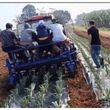 KẾT QUẢ NGHIÊN CỨU MÁY TRỒNG DỨA 4 HÀNG KẾT HỢP  PHỦ NI LÔNG Ở VIỆT NAM