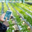 Cơ giới hóa và tái cơ cấu nền nông nghiệp Việt Nam theo hướng nông nghiệp thông minh