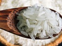 15 sản phẩm OCOP: Hạt gạo Tây Ninh tìm đường đi xa