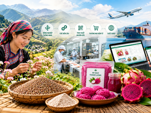 Đặc sản vùng cao: Đưa công nghệ vào chuỗi giá trị để mở rộng thị trường