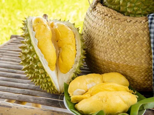 Giá sầu riêng hôm nay 15/10: Sầu Thái loại A tại Gia Lai tăng 10.000 đồng/kg