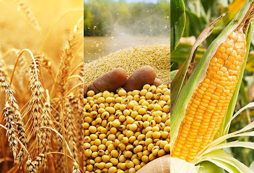 Mở rộng thị trường hàng hóa phái sinh, hướng tới hình thành giá tham chiếu trong nước