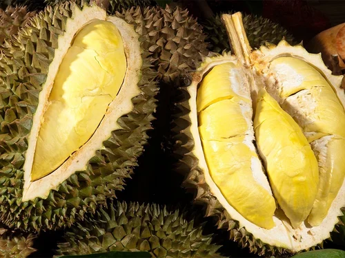 Giá sầu riêng hôm nay 5/10: Sầu Thái Đắk Lắk cao nhất 95.000 đồng/kg