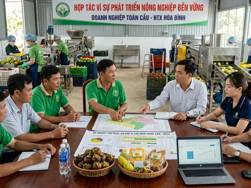 Cách xây dựng chuỗi sản xuất – chế biến – tiêu thụ ngay tại nông thôn
