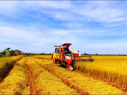 Nông nghiệp trước yêu cầu chuyển từ tăng sản lượng sang nâng giá trị