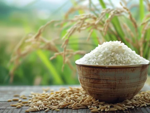 Giá lúa gạo hôm nay 8/10: Giao dịch chậm, giá xuất khẩu đi ngang