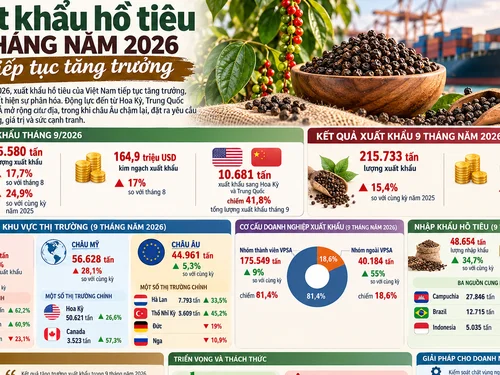Xuất khẩu hồ tiêu 9 tháng năm 2026 tiếp tục tăng trưởng