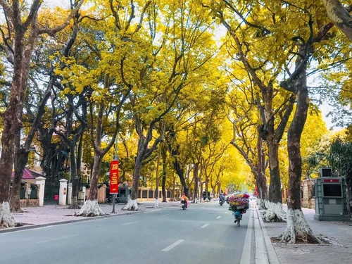 Thời tiết hôm nay 9/10: Miền Bắc trời lạnh, Trung Bộ có nơi mưa rất to