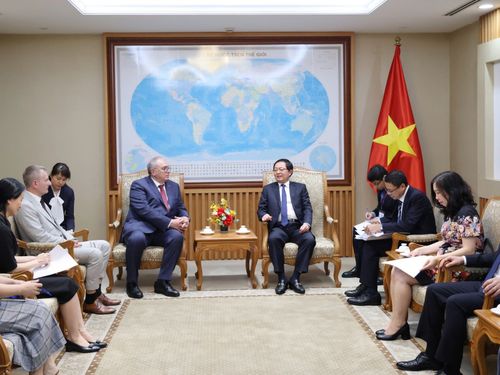 Phó Thủ tướng Hồ Quốc Dũng tiếp lãnh đạo Cơ quan Năng lượng nguyên tử Quốc tế (IAEA)