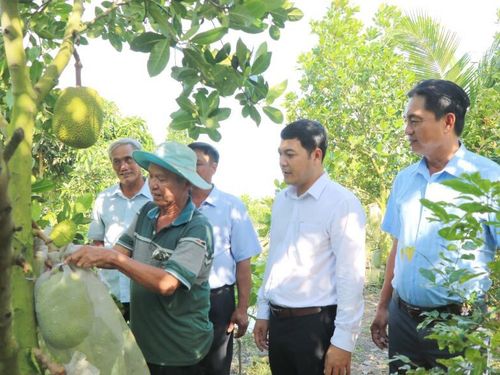 Xã Tháp Mười: Phát triển công nghiệp tạo động lực tăng trưởng mới, bền vững.