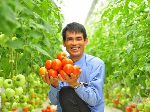 Tập trung nguồn lực, tạo đột phá trong xây dựng nông thôn mới giai đoạn 2026–2035