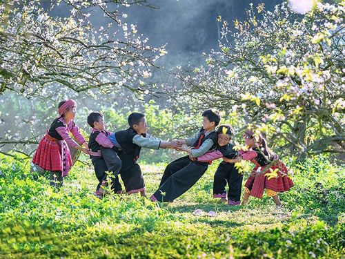 Mộc Châu: Khi du lịch xanh trở thành sức hút của vùng cao Tây Bắc