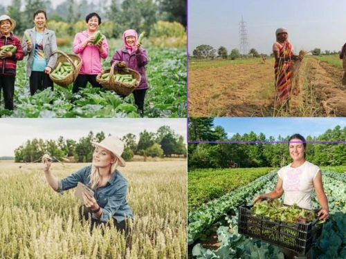 Vai trò phụ nữ trong phát triển kinh tế nông thôn