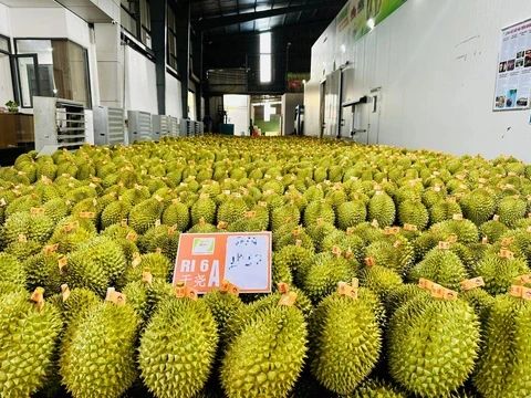 Báo chí góp phần mở rộng không gian phát triển cho nông nghiệp xanh