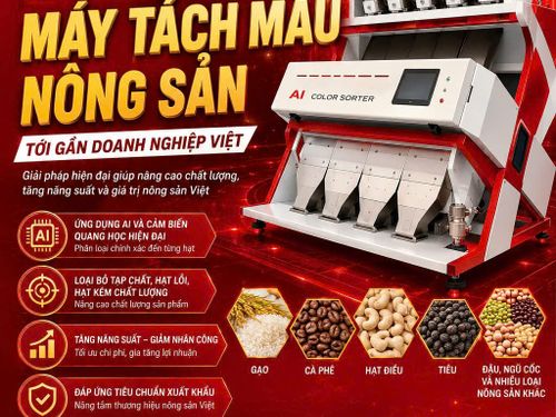 CIAME Asia Vietnam 2026 sẽ mang công nghệ máy tách màu nông sản đến gần doanh nghiệp Việt