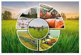 ĐÁNH GIÁ NĂNG LỰC CƠ GIỚI HÓA CỦA MỘT SỐ SẢN PHẨM  NÔNG NGHIỆP TẠI VÙNG SẢN XUẤT HÀNG HÓA TẬP TRUNG