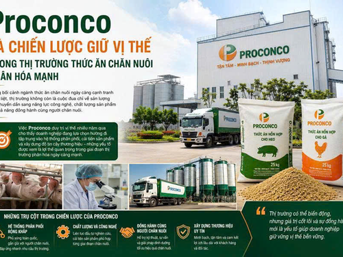 Proconco và chiến lược giữ vị thế trong thị trường thức ăn chăn nuôi phân hóa mạnh